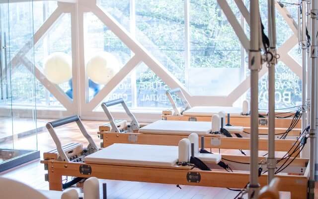 画像ギャラリー