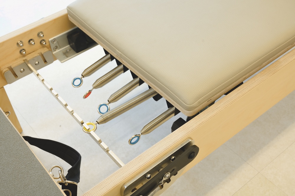 画像ギャラリー