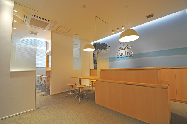 画像ギャラリー