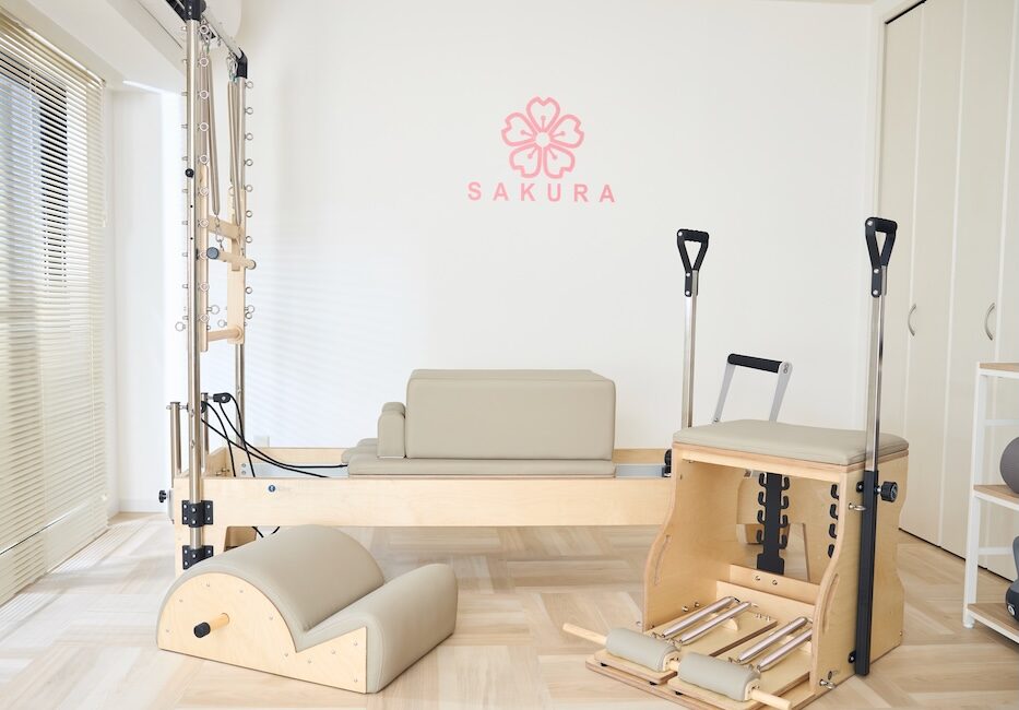 画像ギャラリー