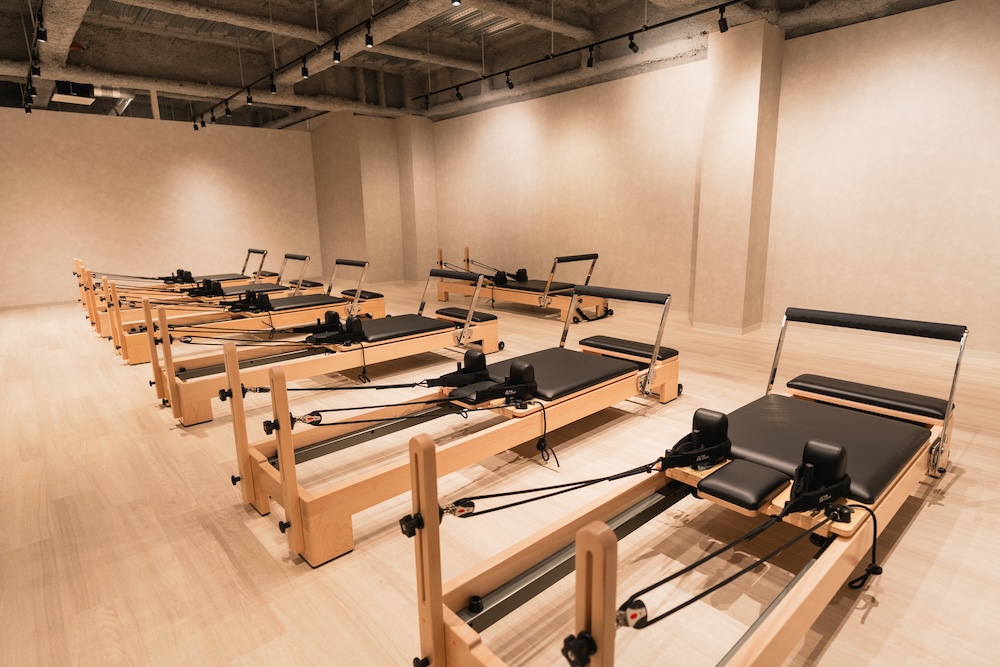 画像ギャラリー